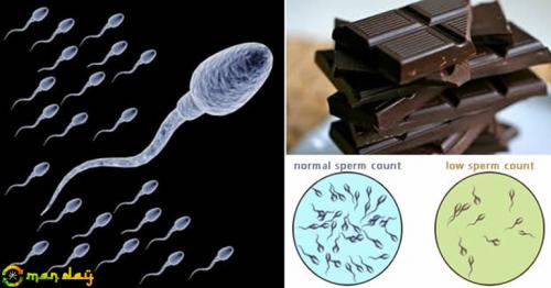 10 Super Foods To Increase Sperm Count, Production, and Motility!