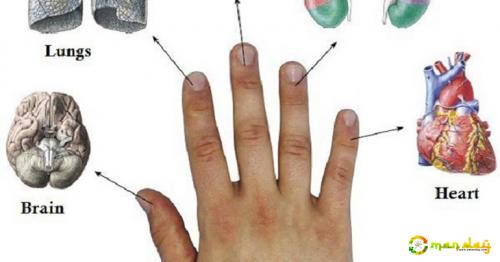 Every Finger Is Connected With 2 Organs: Japanese Methods For Curing In 5 Minutes!