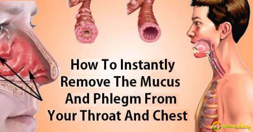 How to Eliminate Mucus and Phlegm from the Throat and Chest (Immediate Results)