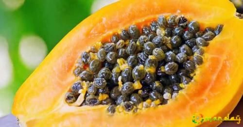 How To Eat Papaya Seeds In order to Detoxify Your Liver, Kidneys As Well As Heal Your Digestive System!