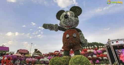 Dubai gets world’s biggest Mickey Mouse floral structure