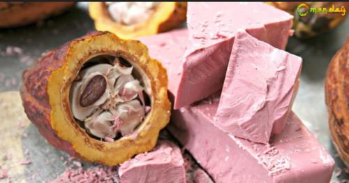 For The First Time In 80 Years The World Is Eating A New Chocolate, And It’s Pink