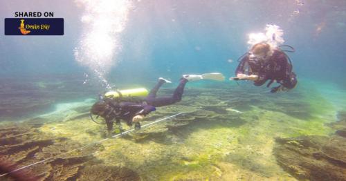 Oman Gets Two Certified Reef Check Trainers for First Time