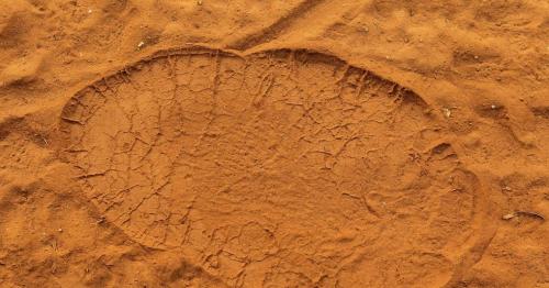 Primitive elephant footprints excavated in Oman