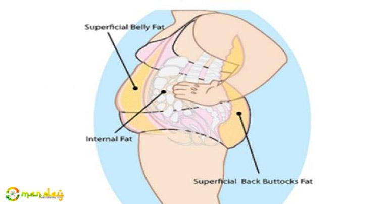 Effective Way to Get Rid of White Fat Around the Abdomen