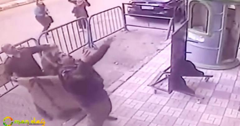 Five-Year-Old Fell From Third Floor. How Heroic Cop Saved Him. Watch