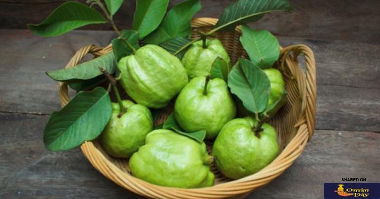 Guava Leaves for Hair Growth: How to Use This Ancient Beauty Remedy