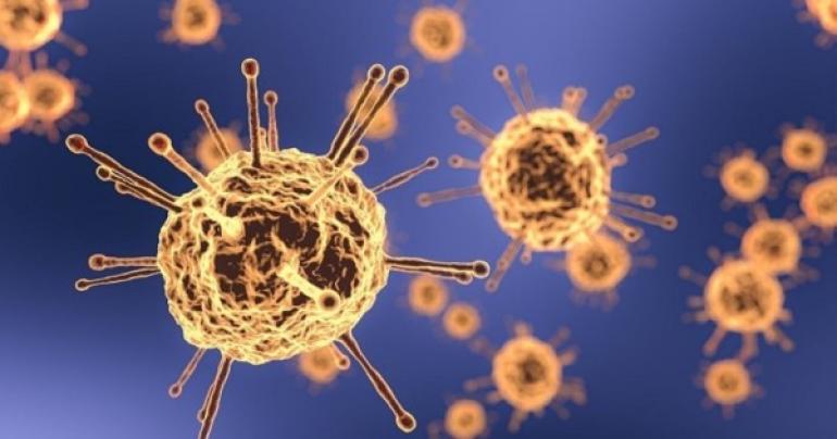 528 new coronavirus cases, 11 deaths reported in Oman